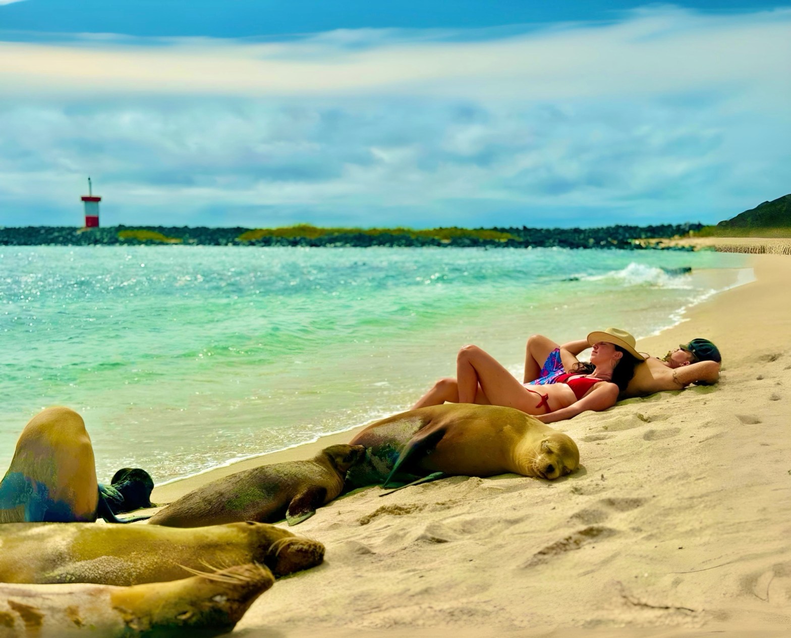 Etape 12 – Les Îles Galapagos (Fiche Pratique & Budget)